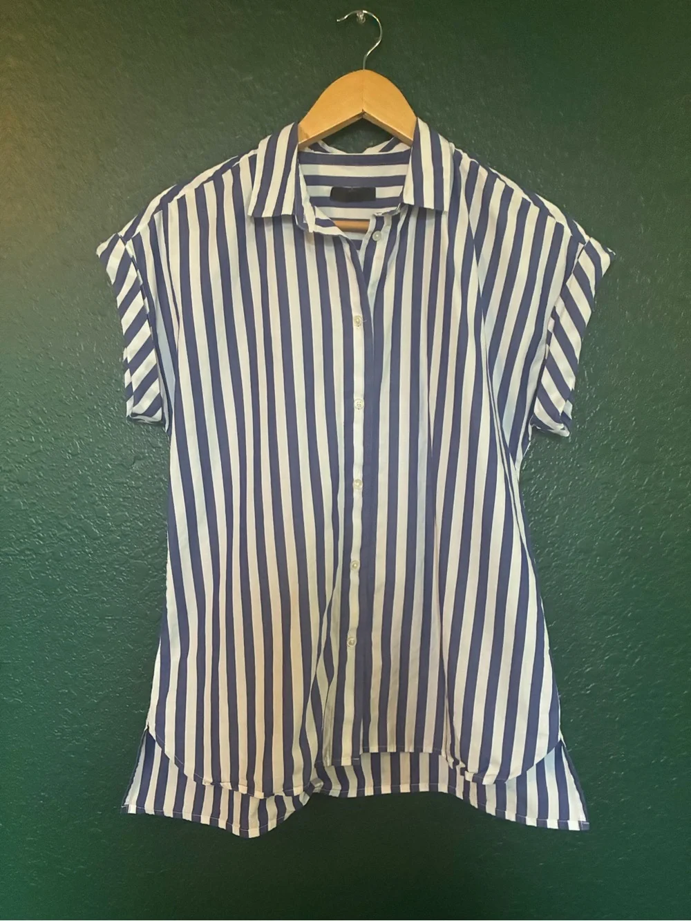 J. Crew Blue and White Vertical Stripe Short-Sleeve Button Shirt